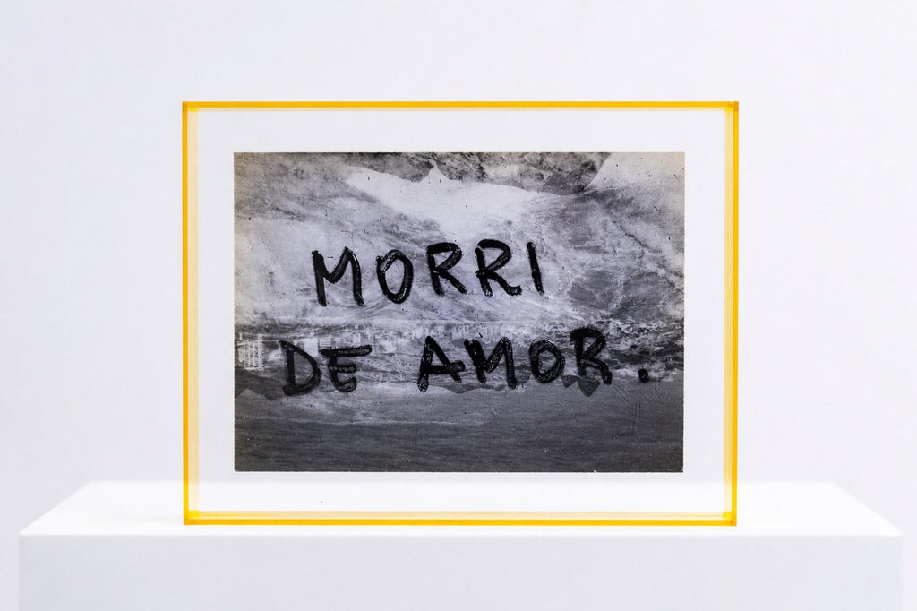 Morri de Amor — fotografia analógica montada em acrílico amarelo