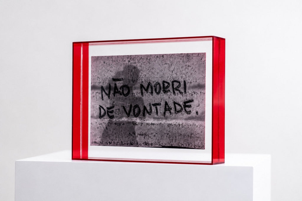 Não Morri de Vontade — fotografia analógica montada em acrílico vermelho
