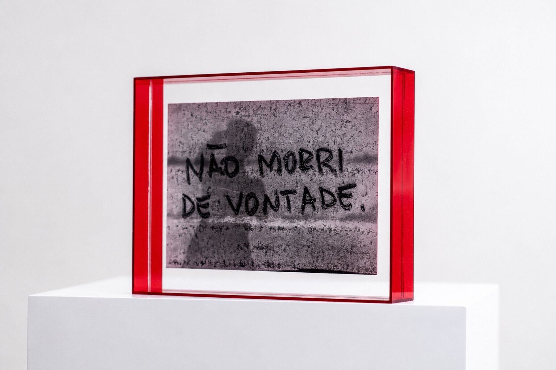 Não Morri de Vontade — fotografia analógica montada em acrílico vermelho